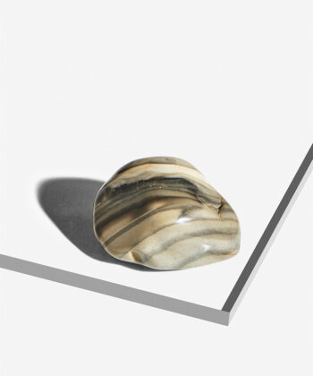 Sandfarvet poleret Flintesten med gyldne og brunlige stribede lag på hvid baggrund