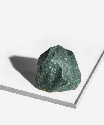 Mørkegrøn Rå Heliotrop med hvide gule og røde detaljer på hvid baggrund