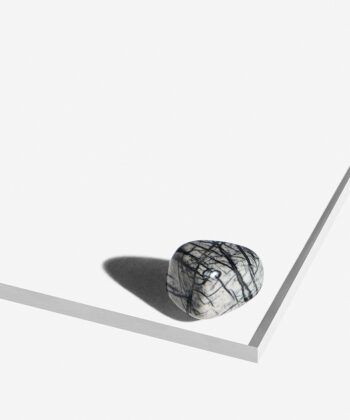 Hvidlig poleret Picasso Jaspis med kunstneriske sorte streger og detaljer på hvid baggrund