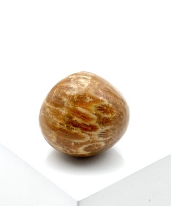 Poleret gylden sten med hvide og ravfarvede blomster på hvid baggrund