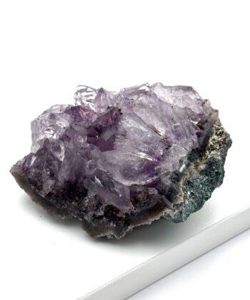 Rå lilla ametyst med sort skal på hvid baggrund