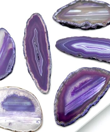 Lilla skiver af ædelsten med sort kant og hvide detaljer fotograferet på hvid baggrund