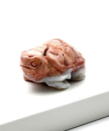 Skildpadde af halvædelsten. Lyserød øverst og hvid nederst