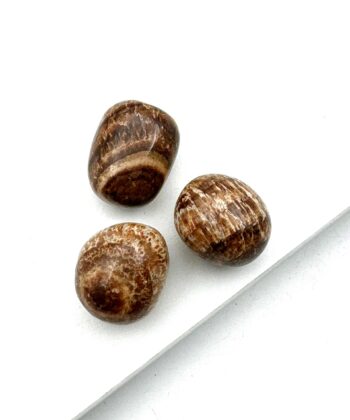 Brune og creme stribede ten på hvid baggrund