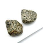 Creme farvede med sorte prikker på hvid baggrund