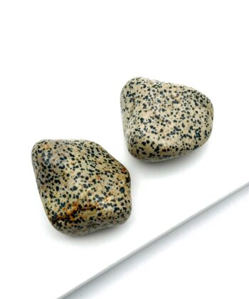 Creme farvede med sorte prikker på hvid baggrund