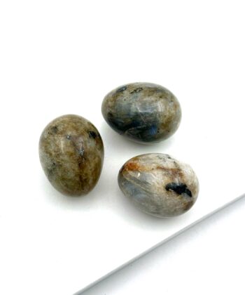 Grågrønne æg på hvid baggrund