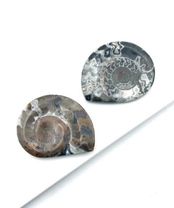 Ammonit, Grå - Meditations- & Lommesten