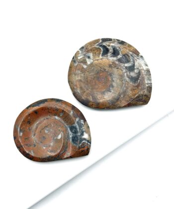 Ammonit, Brun - Meditations- & Lommesten