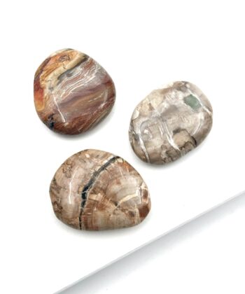 Forstenet Træ - Meditationssten / Lommesten