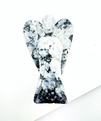 Hvid og Sort regnbue månesten på hvis baggrund