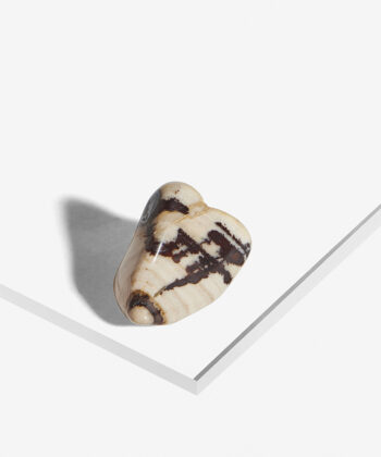 Råhvid og rødbrun poleret Zebra Jaspis på hvid baggrund