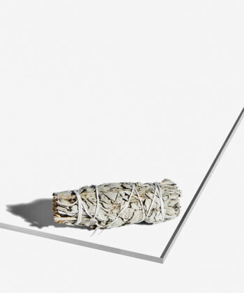 Et bundt salvie på hvid baggrund