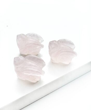 Rosenkvarts - Due