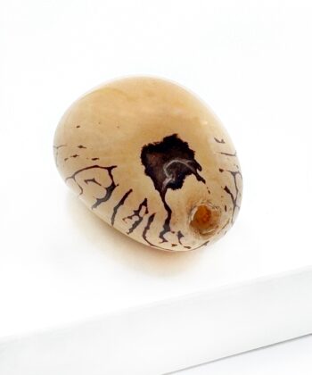 Elfenbens Nød - poleret - UNIKA