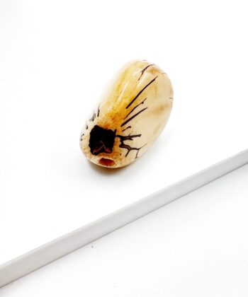 Elfenbens Nød - poleret - UNIKA