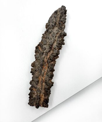 Jordfarvet rå krystalsten mineral på hvid baggrund