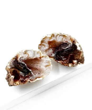 Agat Geode på hvid baggrund