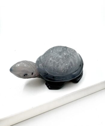 Lettere blålig Agat skildpadde med lidt druzy på hvid baggrund