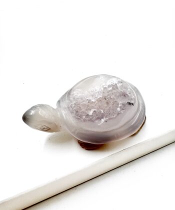 Druzy Agat skildpadde på hvid baggrund