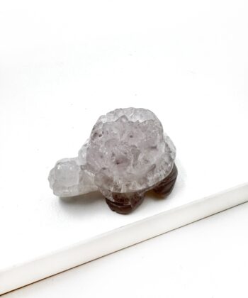 Druzy Agat skildpadde på hvid baggrund