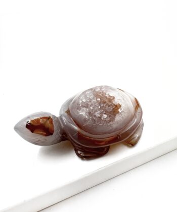 Druzy Agat skildpadde på hvid baggrund