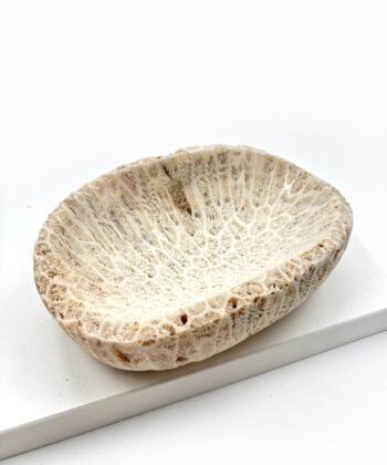 Dekorativ lys hvid sandfarvet koral skål på hvid baggrund