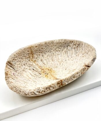 Dekorativ lys hvid sandfarvet koral skål på hvid baggrund